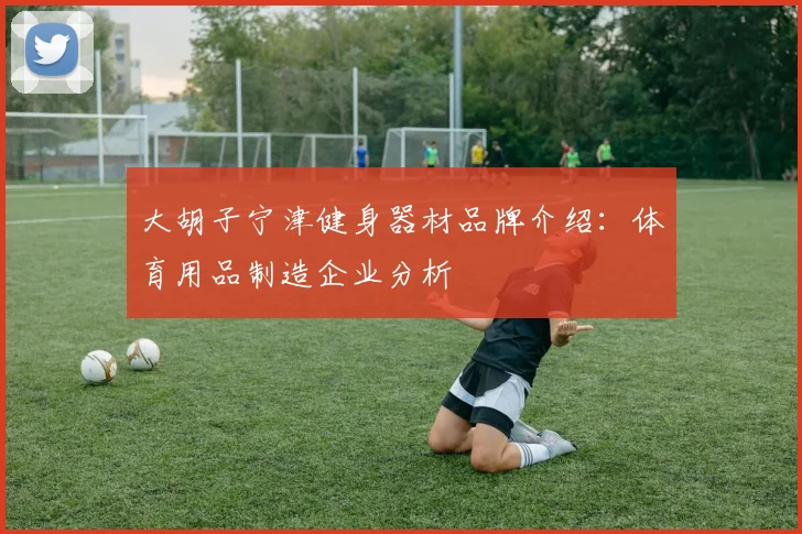 大胡子宁津健身器材品牌介绍：体育用品制造企业分析