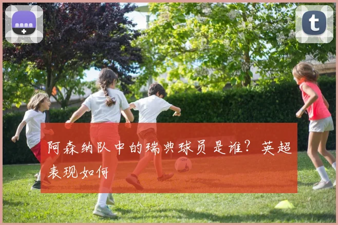 阿森纳队中的瑞典球员是谁？英超表现如何