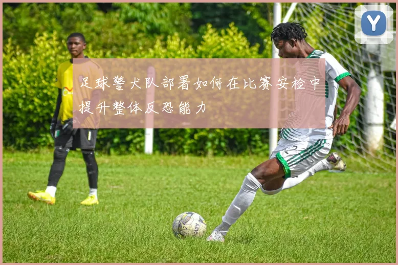 足球警犬队部署如何在比赛安检中提升整体反恐能力