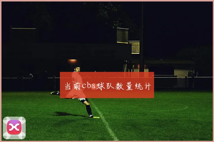 当前cba球队数量统计