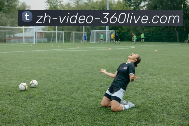 新英体育平台欧冠赛事直播内容及播出安排